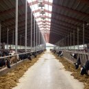 나라축사 이미지