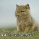 평티 이미지