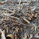 세찬농장 이미지