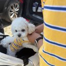 (주)상도 이미지