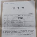 친환경무농약인증 블루베리생과 예약판매합니다 이미지