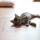 우리가족헤어 이미지