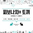 피보나치 이미지