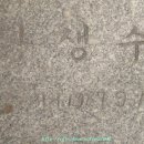 쌍생수 이미지