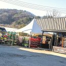 렌탈요정 | 겨울 눈꽃 요정으로 변신! 홍천 비발디파크 렌탈샵 후기 & 꿀팁 대방출!