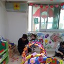 킹콩플라워 이미지