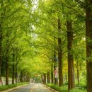 용지호수공원 Daum카페