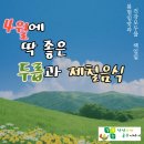 소룡농장 이미지