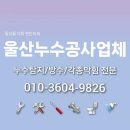 일상 속 하수구 문제, 울산 누수 탐지 전문 업체와 함께 해결하세요!
