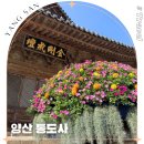경남 양산 가볼만한곳 통도사 입장료 청보리밭 서운암 계곡