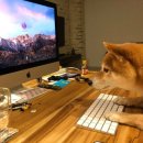 와이투짐 원흥역점 이미지