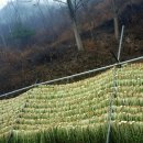 겨울식탁 이미지