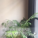 카페(cafe)125