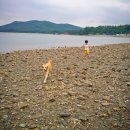 벌말농장 이미지