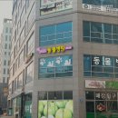 뷰티펫동물병원 | 수원 동몰병원 뷰티펫동물병원 수원 동물병원 1위