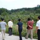 종산농장 이미지