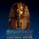 파라오 이미지