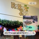 명지국제타워 | 리뷰｜부산 명지 라라쥬 실내동물원 카페 아이랑 체험 꿀팁·할인·솔직 후기