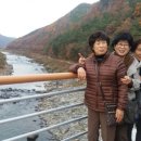 오렌지 꽃향기는 바람에 날리고 이미지