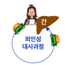 콜레스테롤이 높은 이유 및 낮추는 방법 이미지