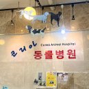 코리아동물병원 | 평택 코리아 동물병원 대형견 검은발톱깎이 만원 내돈내산 솔직후기