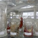 국립해양생물자원관 씨큐리움 이미지