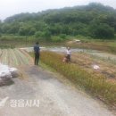 과교파출소 이미지
