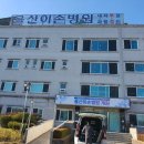 더편한의료기 이미지