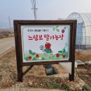 느림보농장 이미지