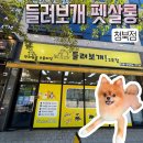 하나펫살롱 | 들려보개펫살롱 청북점 강아지 미용추천 홈케어클래스 후기