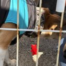 판수농장 이미지