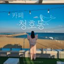 [속초 카페] 속초 오션뷰가 예쁜 &#39;카페 청호동&#39; (내돈내산&amp;솔직후기)