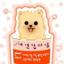 성보약품 이미지