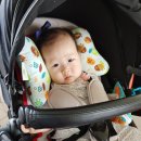 지윤목장 이미지