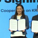 스테이블14 이미지