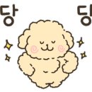 정성카공업사 이미지