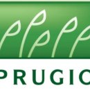 힐스테이트 2차(19 신규) 이미지