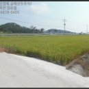 비금면도고리