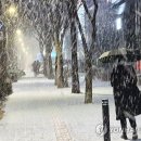 서울메리야스