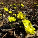 풍도 발전소 이미지