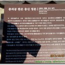 한온장군충신정문 이미지