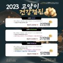 동대문 루시드 동물메디컬센터 이미지
