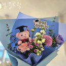 플로랑 이미지