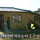 씨앗스튜디오