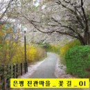 꽃진관