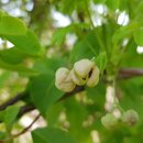 팔야1리 마을회관 이미지