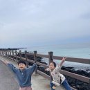 해피마트 덕천점 | 엄마 혼자 아이 둘과 7박 8일 제주 여행기 일정 총정리