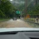 (주)스텔라오토모빌 이미지