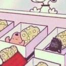 시온여성병원 이미지