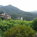 축령산 누룽지백숙 이미지